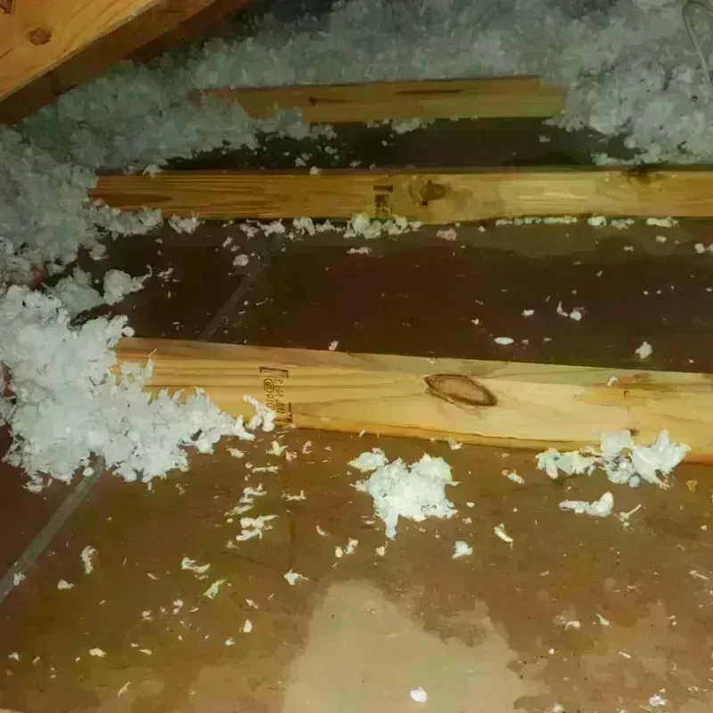 Attic Water Damage in Inverness, CO