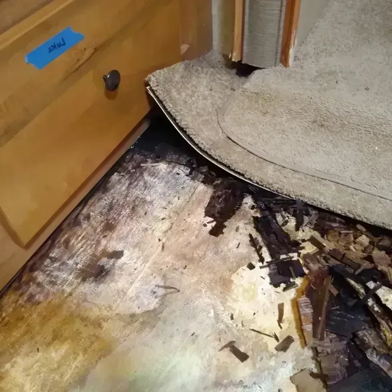 Wood Floor Water Damage in Inverness, CO